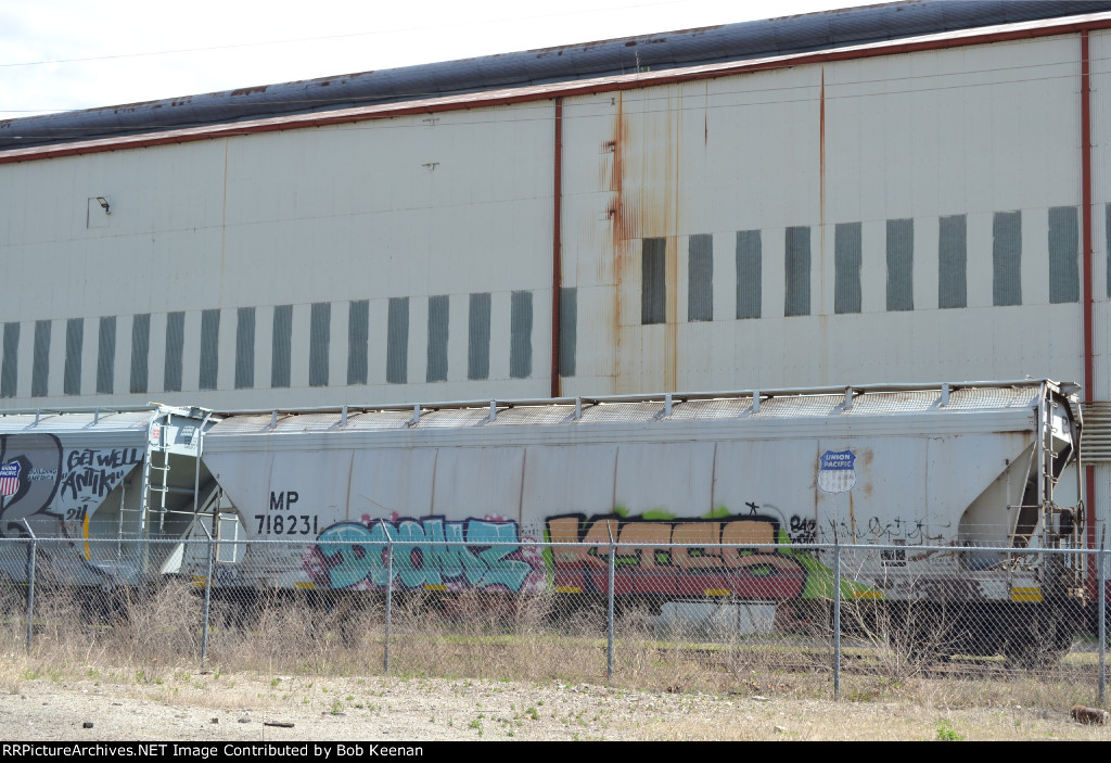 MP 718231